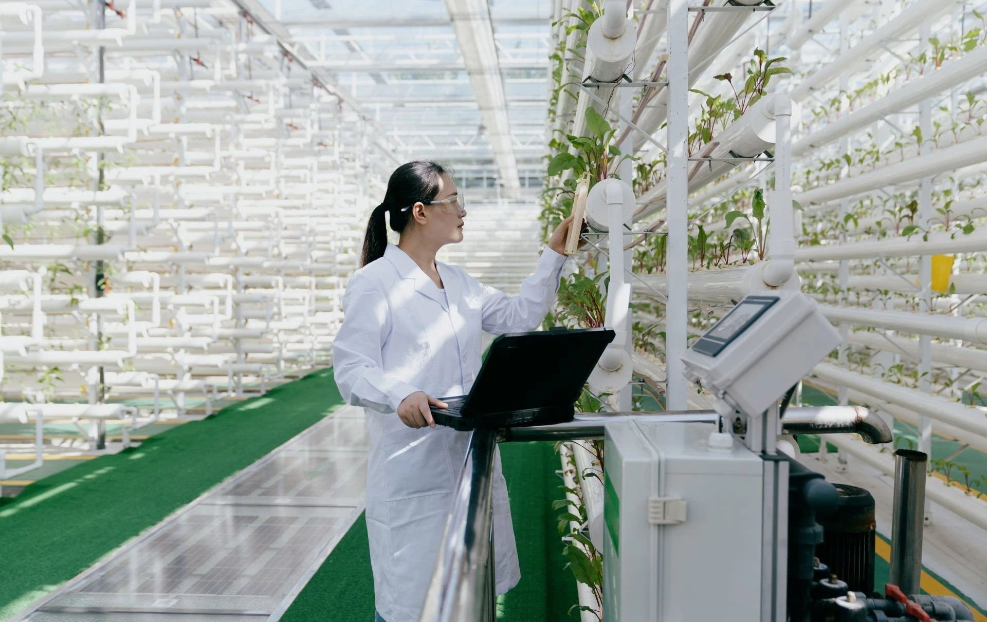 para manter o carbono no ciclo.