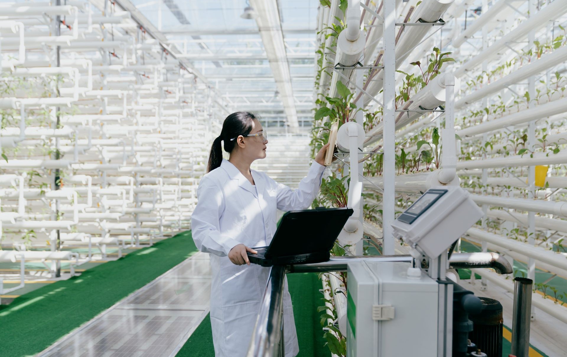 to keep carbon in the cycle.