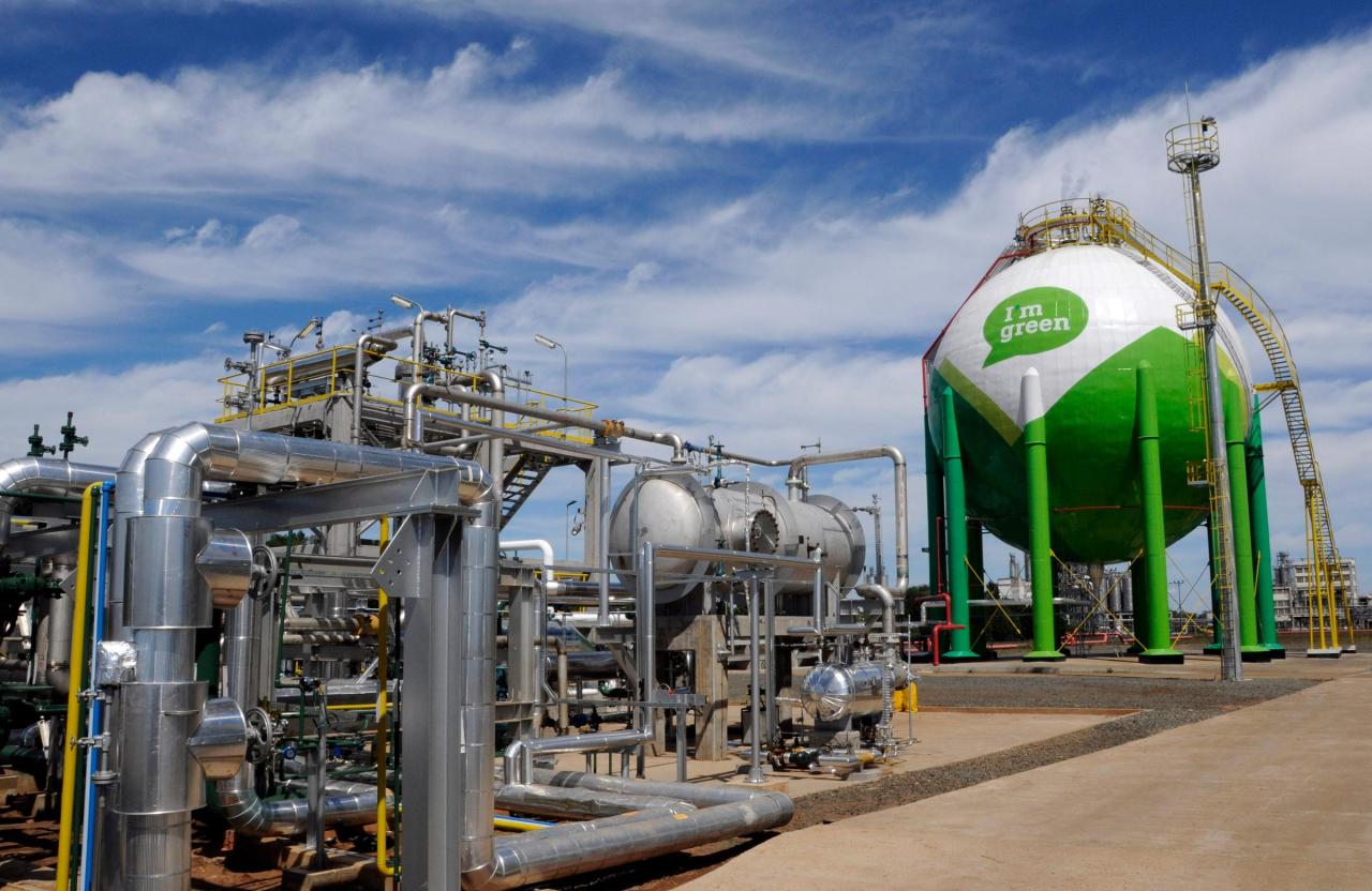 Braskem será a primeira companhia química a receber o Selo Verde   no Brasil 