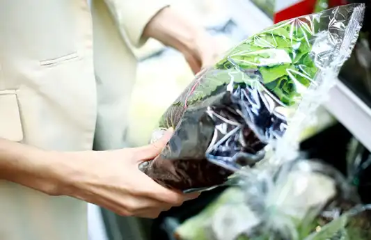 Partnership with Wageningen University