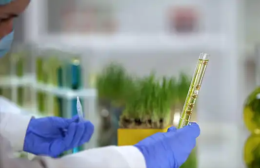 Partnership with Lallemand