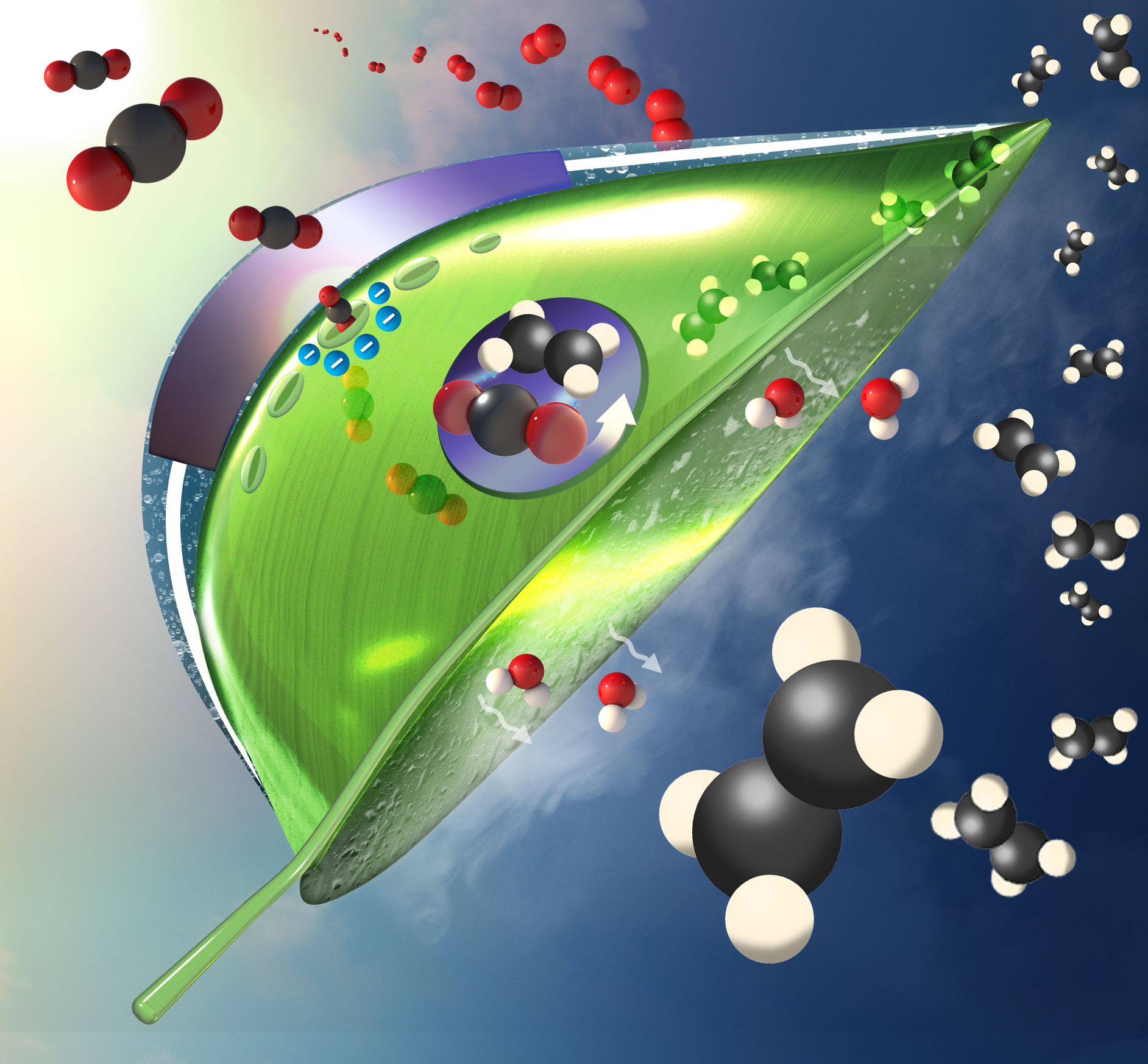 Braskem Announces Research Partnership for Sustainable Plastic Production Using CO2 Capture and Utilization Technology 
