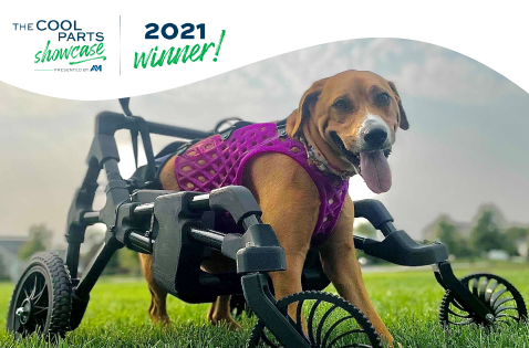 Braskem and DiveDesign partner to develop a Custom 3D Printed K9 Quad Cart for Rescue Dog "Wobbly Hannah"