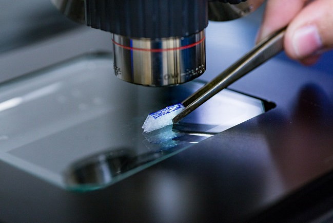 Braskem to launch Amppleo resin at K Fair